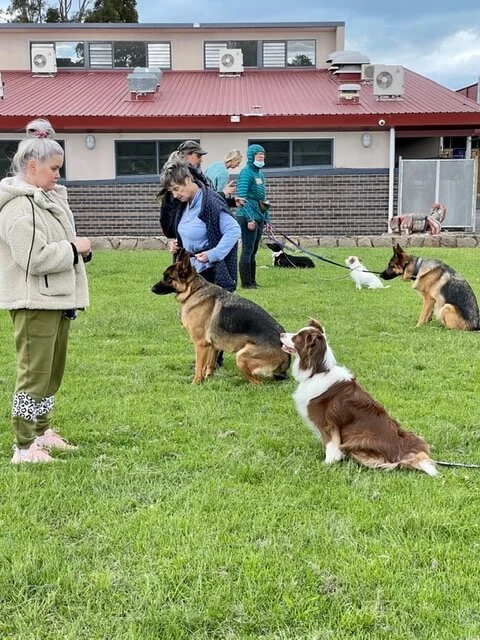 Peninsula obedience dog deals club